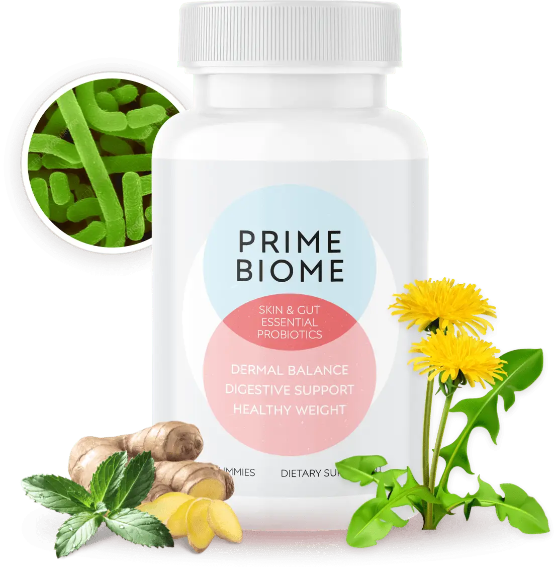Prime Biome supplement bottle for skin and gut health support
