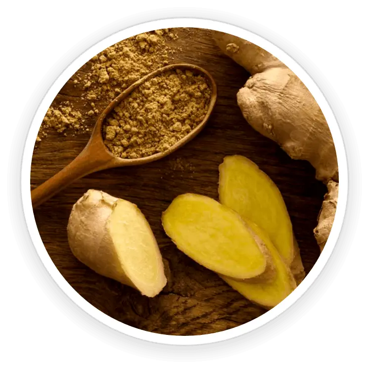Organic Ceylon Ginger for digestive support